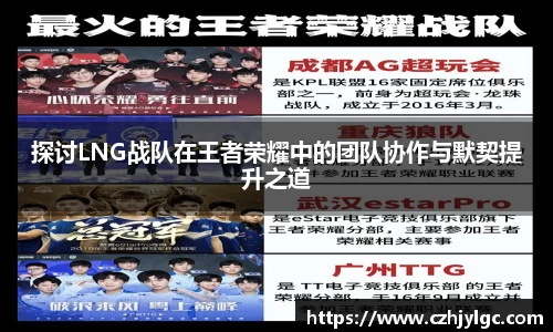 探讨LNG战队在王者荣耀中的团队协作与默契提升之道